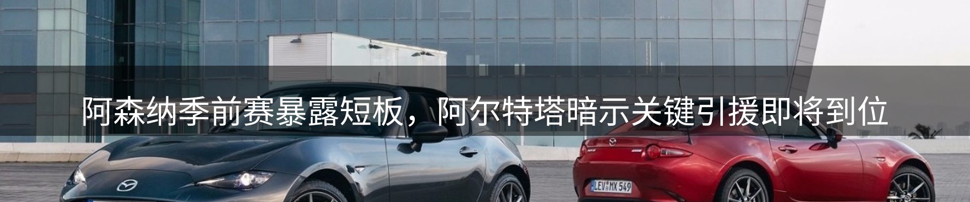 新闻动态
